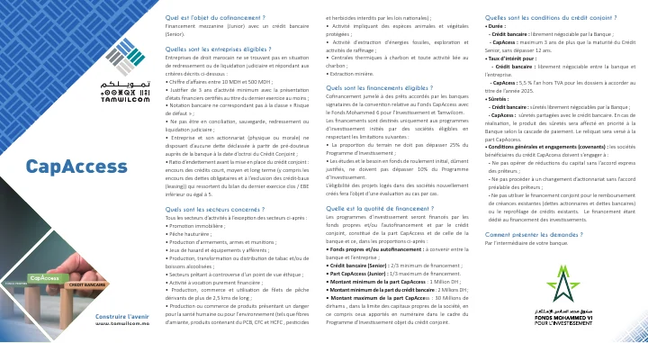 Première page de CapAccess — Fiche produit Tamwilcom