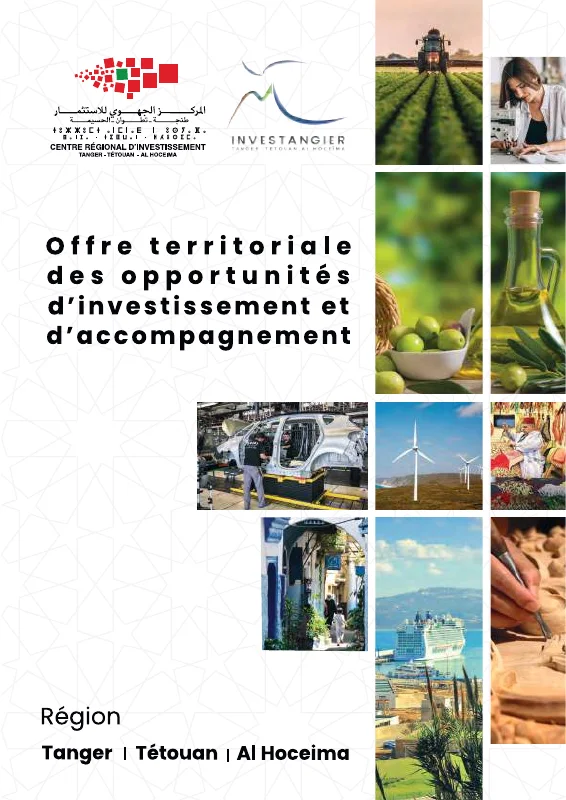 Première page de CRI TTA — Offre territoriale des opportunités d’investissement et d’accompagnement
